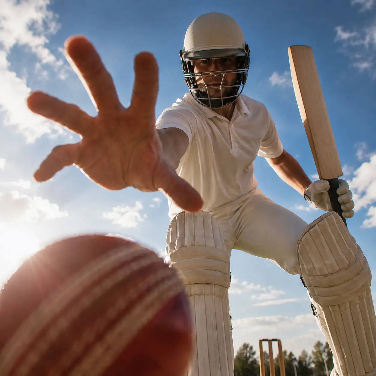 Cricket man